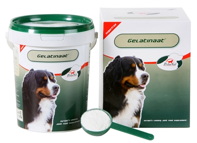 Primeval gelatinaat hond (500 GR)
