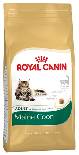 Royal canin maine coon (10 KG)
