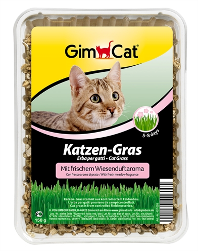 Gimcat kattengras (150 GR)