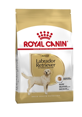 Royal canin labrador retriever adult (12 KG)