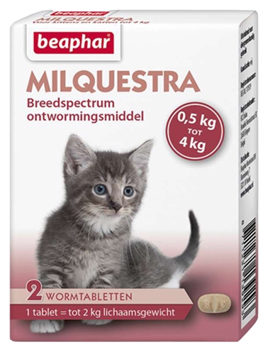 Beaphar milquestra kleine kat / kitten (2 TBL)