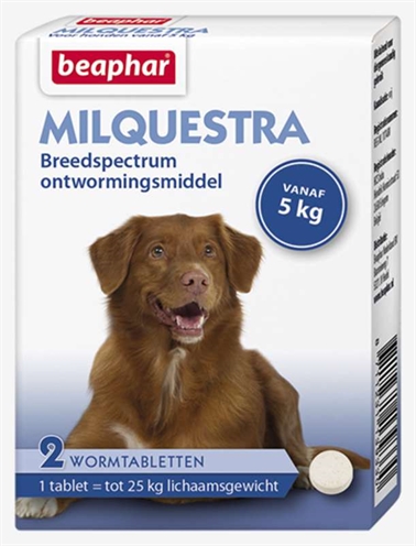 Beaphar milquestra hond (2 TBL)