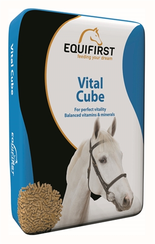 Equifirst vital cube (20 KG)
