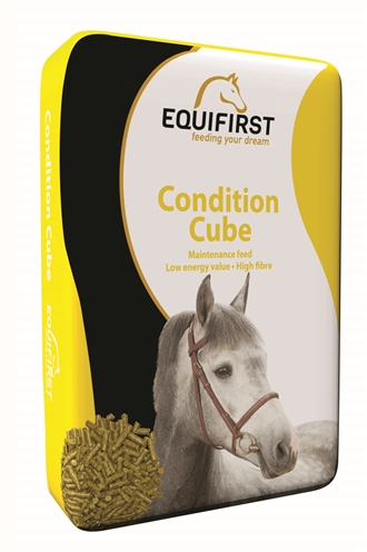 Equifirst condition cube (20 KG)
