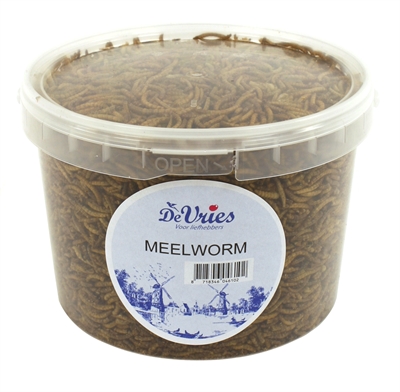De vries meelworm (370 GR)
