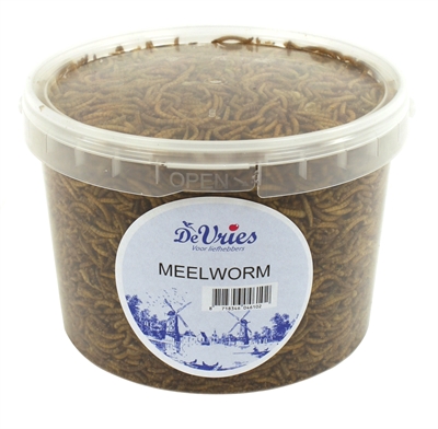 De vries meelworm (75 GR)