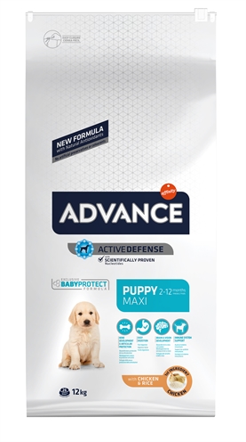 Advance puppy protect maxi (12 KG)