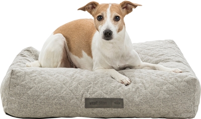 Trixie hondenkussen noah vitaal schuimrubber lichtgrijs (60X50X15 CM)
