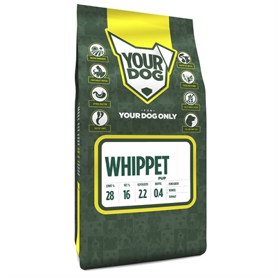 Yourdog whippet pup (3 KG)