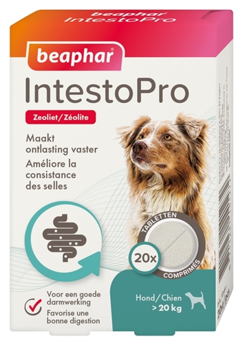 Beaphar intestopro hond (>20 KG 20 TBL)