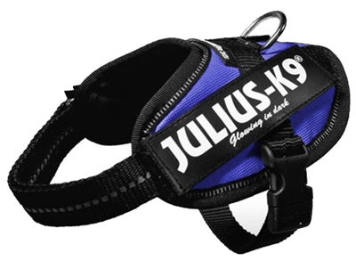 Julius k9 power-harnas/tuig voor labels blauw (BABY 2/33-45 CM)