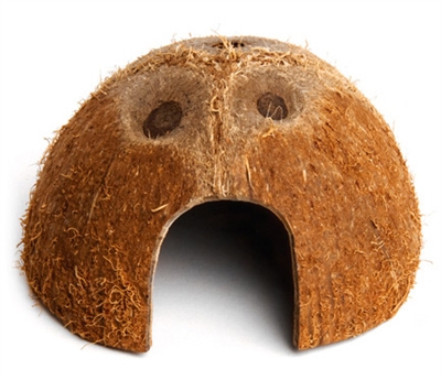 Komodo coconut den